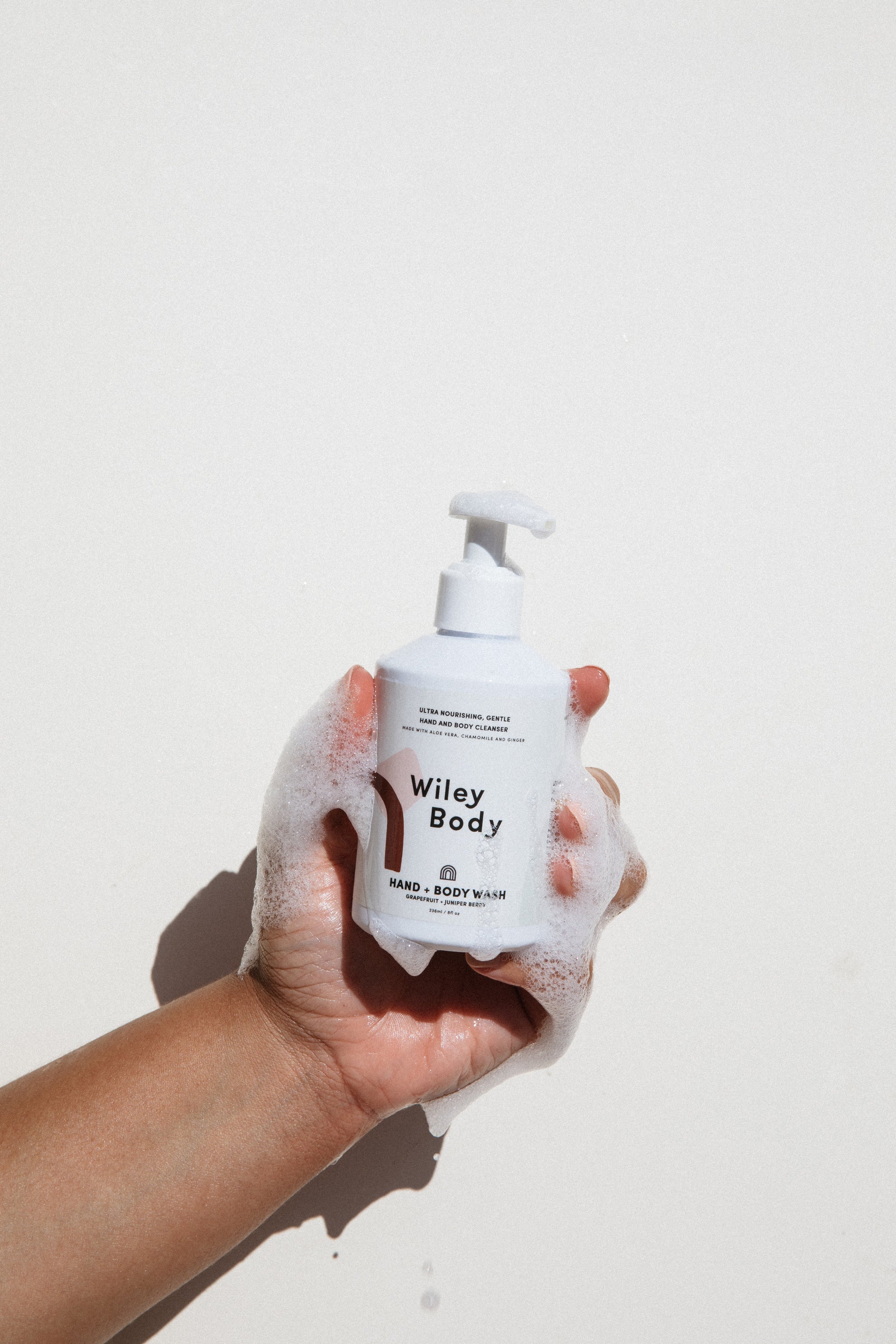 Meet the Hand & Body Wash