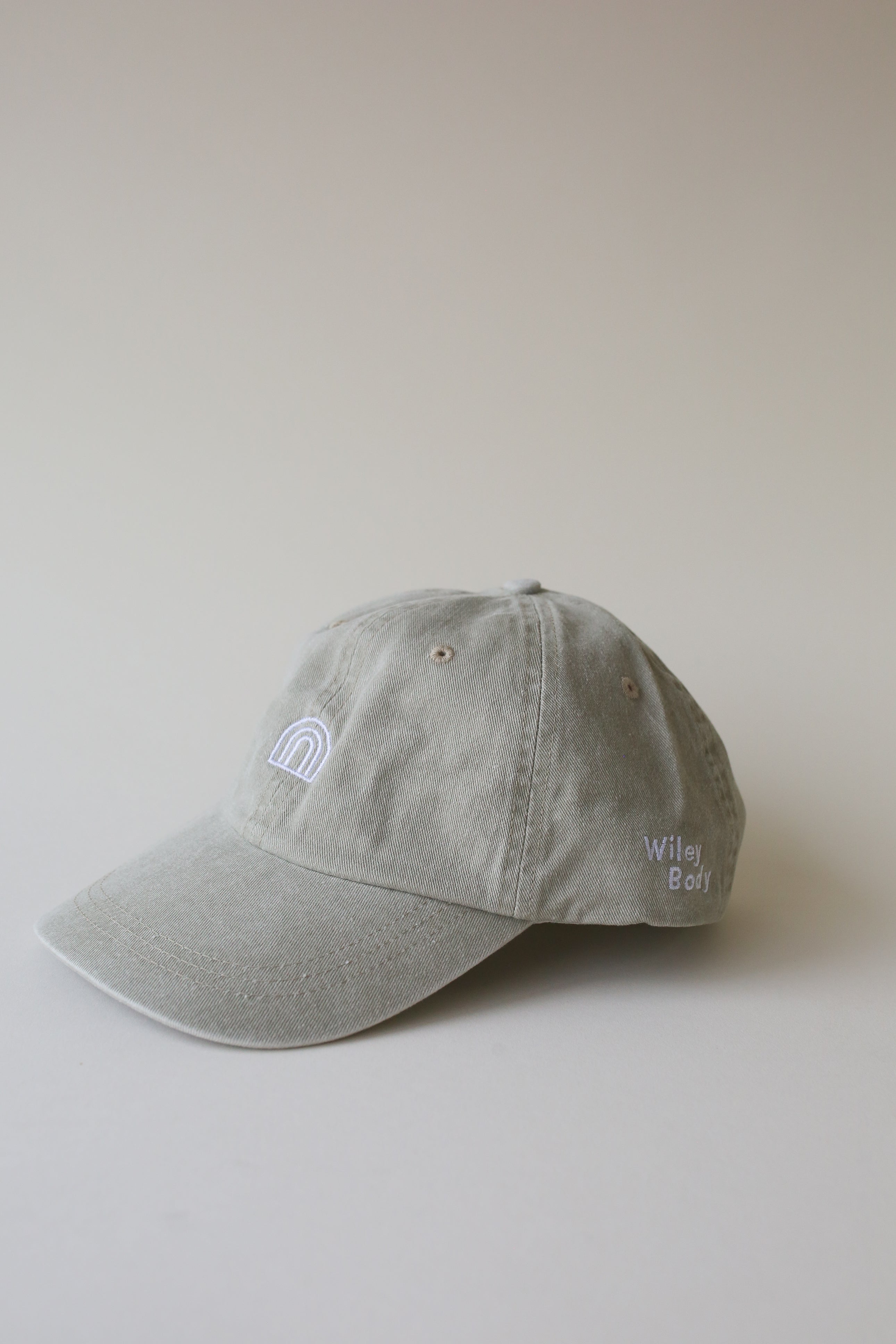 Wiley Body baseball hat (Fog)